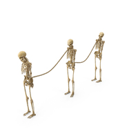 Tied Worn Skeleton Slaves PNG & PSD Images