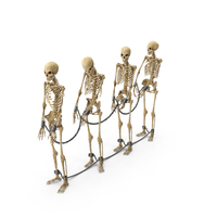 Chained Worn Skeleton Prisoners PNG & PSD Images