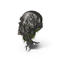 Tree Head PNG & PSD Images