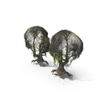 Tree Head PNG & PSD Images