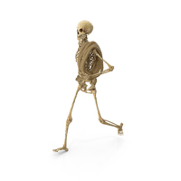 Worn Skeleton Carrying A Rope Pile PNG & PSD Images