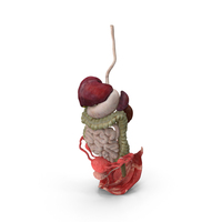 Female Anatomy Digestive System PNG & PSD Images