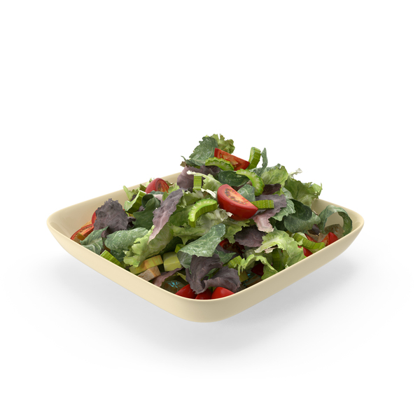 Salad in Plate PNG & PSD Images