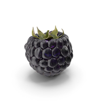Fresh Blackberry PNG & PSD Images