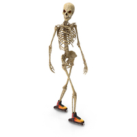 Worn Skeleton Roller Skating PNG & PSD Images