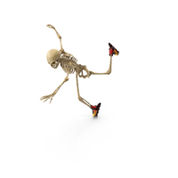 Worn Skeleton In An Roller Skate Accident PNG & PSD Images