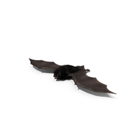Furry Black Bat PNG & PSD Images