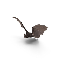 Flying Black Bat PNG & PSD Images