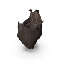 Hanging Black Bat PNG & PSD Images