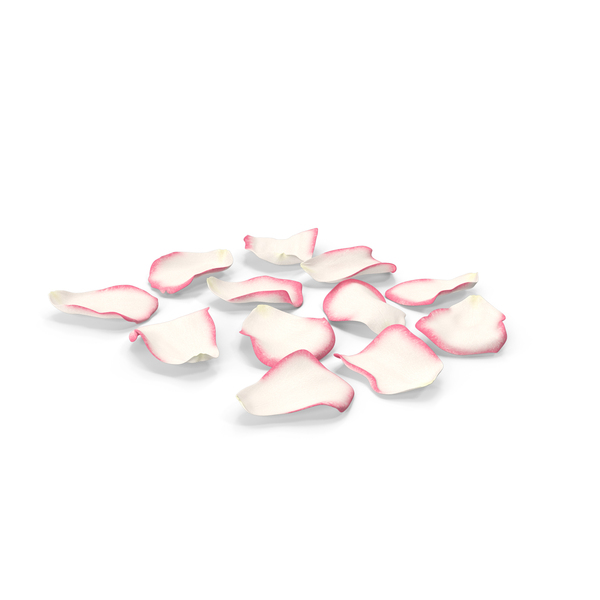 Pink Rose Petals PNG & PSD Images