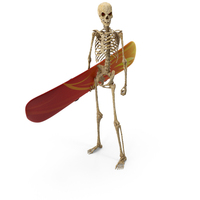 Worn Skeleton Snowboarder PNG & PSD Images