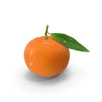 Mandarin with Water Drops PNG & PSD Images