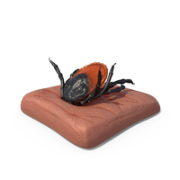 Tick Stuck in Skin Fur PNG & PSD Images