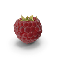 Fresh Raspberry PNG & PSD Images