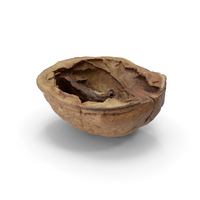 Half Walnut Shell PNG & PSD Images