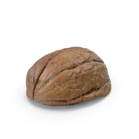 Walnut Shell Half PNG & PSD Images