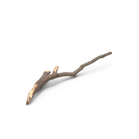 Fallen Branch PNG & PSD Images