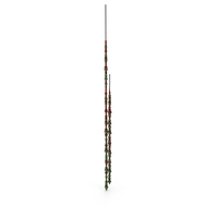 Rasta Bead PNG & PSD Images