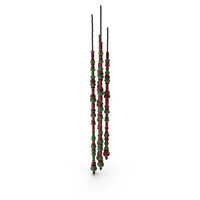 Rasta Bead PNG & PSD Images