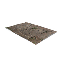 Roots PNG & PSD Images