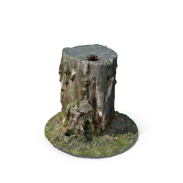 Stump PNG & PSD Images