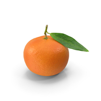 Mandarin With Leaf PNG & PSD Images