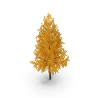 Tall Japanese Larch Tree Yellow PNG & PSD Images