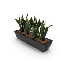 Plants PNG & PSD Images