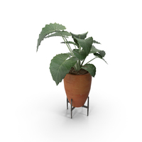 Plants Collection PNG & PSD Images