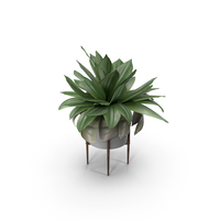 Potted Plants PNG & PSD Images