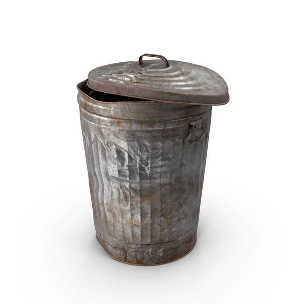 Galvanized deals trash can