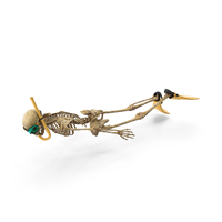 Worn Skeleton Snorkel Diver Swimming PNG & PSD Images