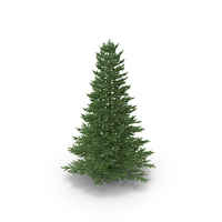 Christmas Tree PNG & PSD Images