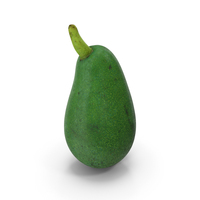 Avocado Scan PNG & PSD Images