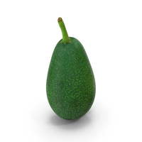 Avocado Scan PNG & PSD Images
