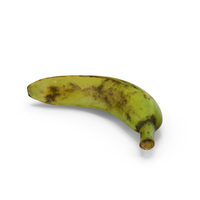 Rotten Banana PNG & PSD Images