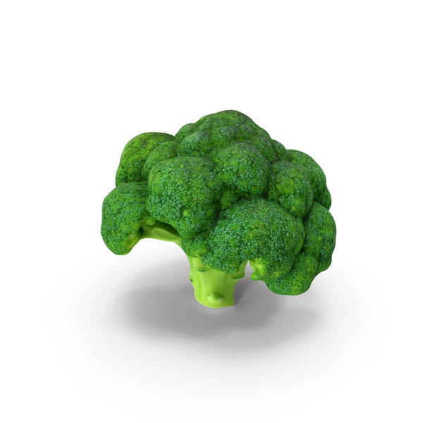Broccoli Scan PNG & PSD Images