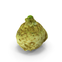 Celery Scan PNG & PSD Images