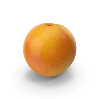 Grapefruit Scan PNG & PSD Images
