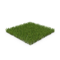 Lawn Grass With Clovers PNG & PSD Images