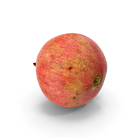 Pomegranate Scan PNG & PSD Images