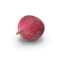 Radish PNG & PSD Images
