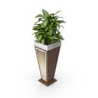 Flowerpot With Plant PNG & PSD Images