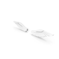 Wings Frame Boarder Fly White PNG & PSD Images
