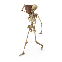 Worn Skeleton Holding A Rusty Bucket PNG & PSD Images