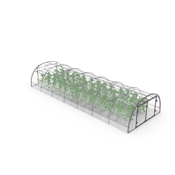 Greenhouse With Plants On An Overcast Day PNG & PSD Images