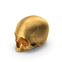 Golden Skull PNG & PSD Images