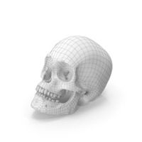 Skull Wireframe PNG & PSD Images