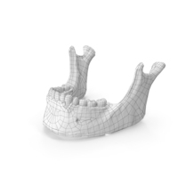 Jaw Wireframe PNG & PSD Images