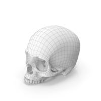 Skull Wireframe PNG & PSD Images